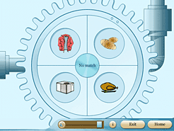 Una schermata del gioco usato nel test