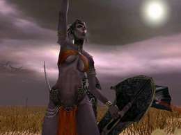 Kingdom Under Fire: Heroes