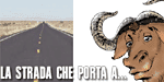 Stallman: sperando che Chrome cambi rotta