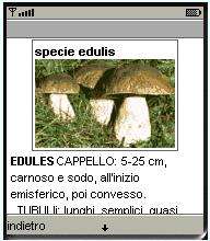 Il catturafunghi