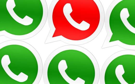 WhatsApp, nuova etichetta sui messaggi inoltrati