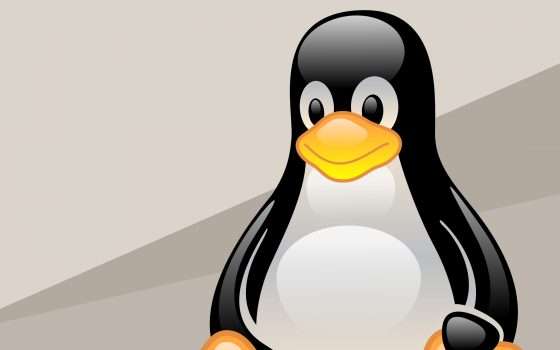 Linux avrà un linguaggio più inclusivo