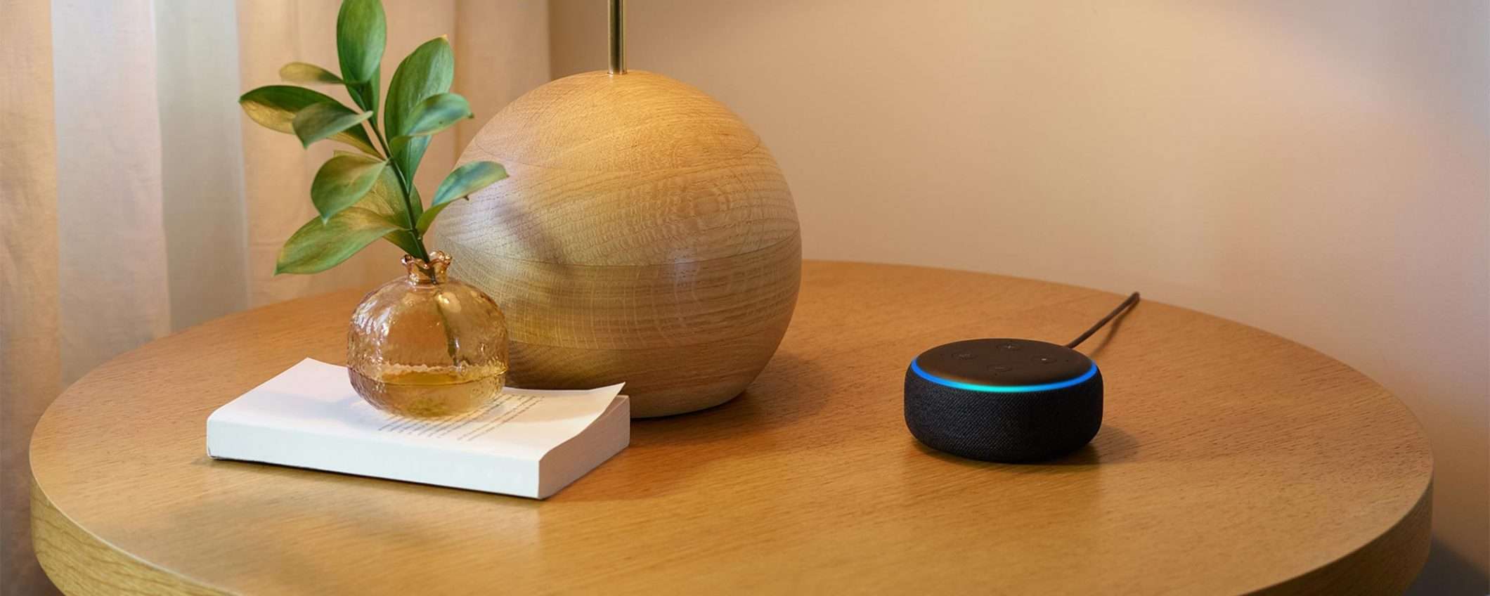 Alexa testimone nell'indagine su duplice omicidio