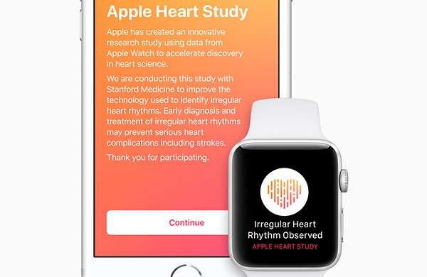 Apple Hearth Study