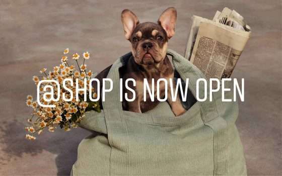 Instagram: account ufficiale @shop per l'ecommerce