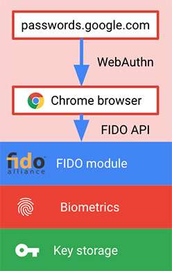 Come funziona l'autenticazione agli account Google nel browser di Android con l'impronta digitale