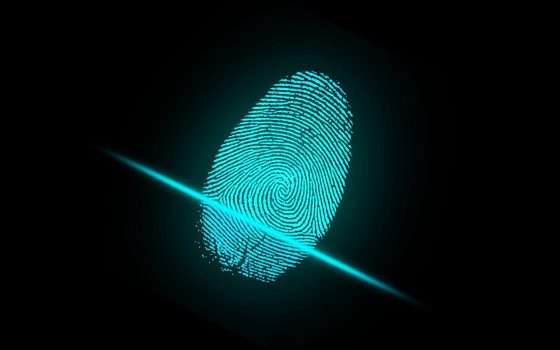 Ci sarà sempre più biometria nei pagamenti digitali