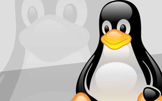 Linux: vulnerabilità per Sudo, già risolta