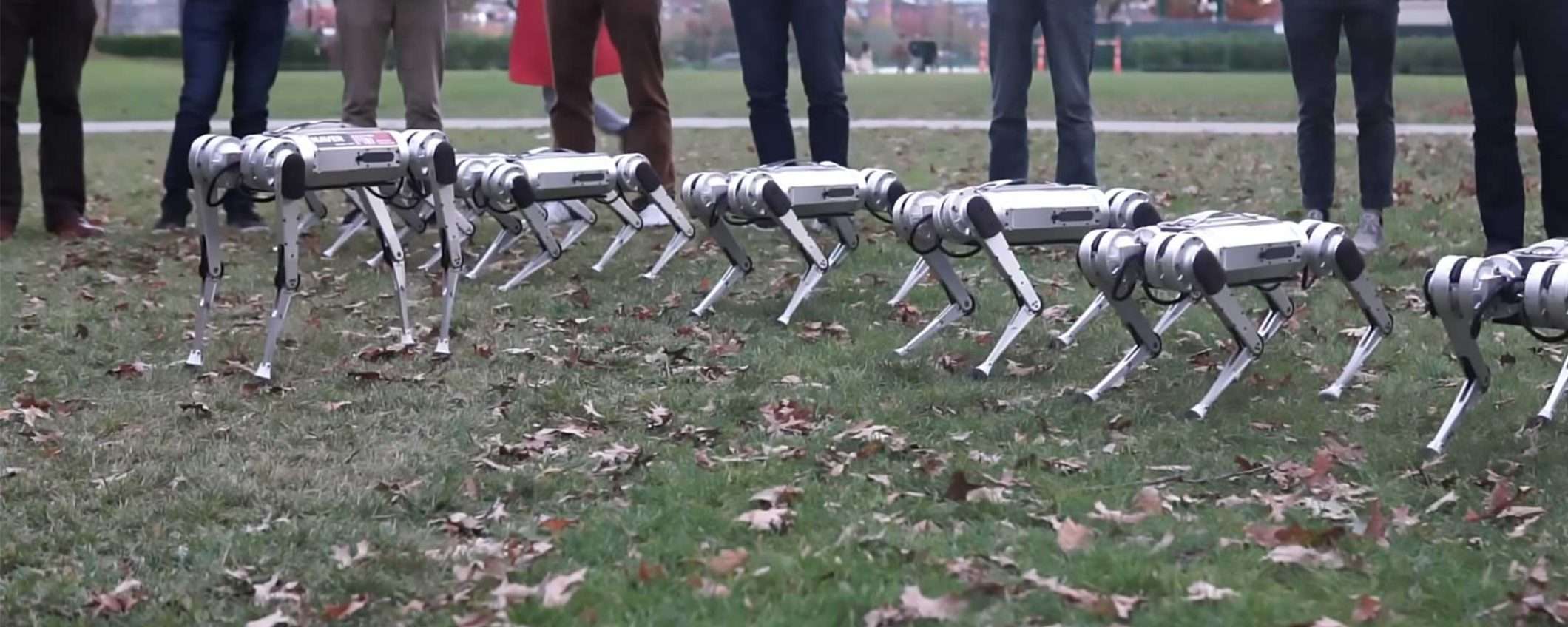 Il MIT porta i suoi robot Mini Cheetah al parco
