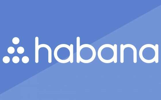 Intel compra Habana Labs per 2 miliardi di dollari