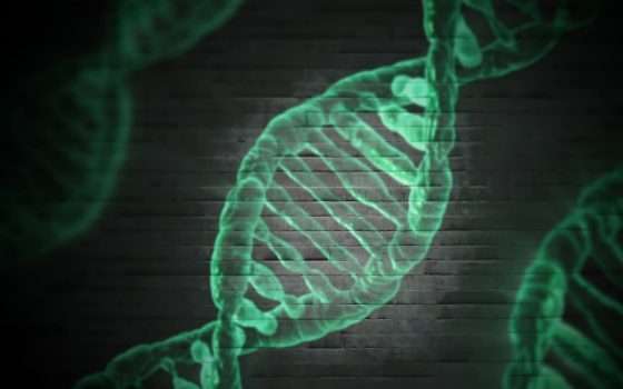DNA: completata la mappa del genoma umano