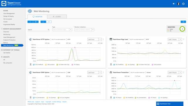 TeamViewer Web Monitoring