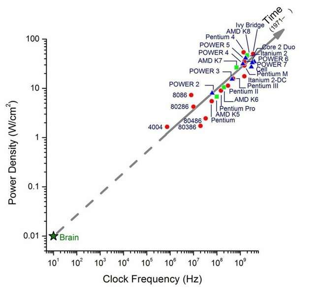 Confronto tra i chip della CPU e il cervello umano; Fonte: IBM