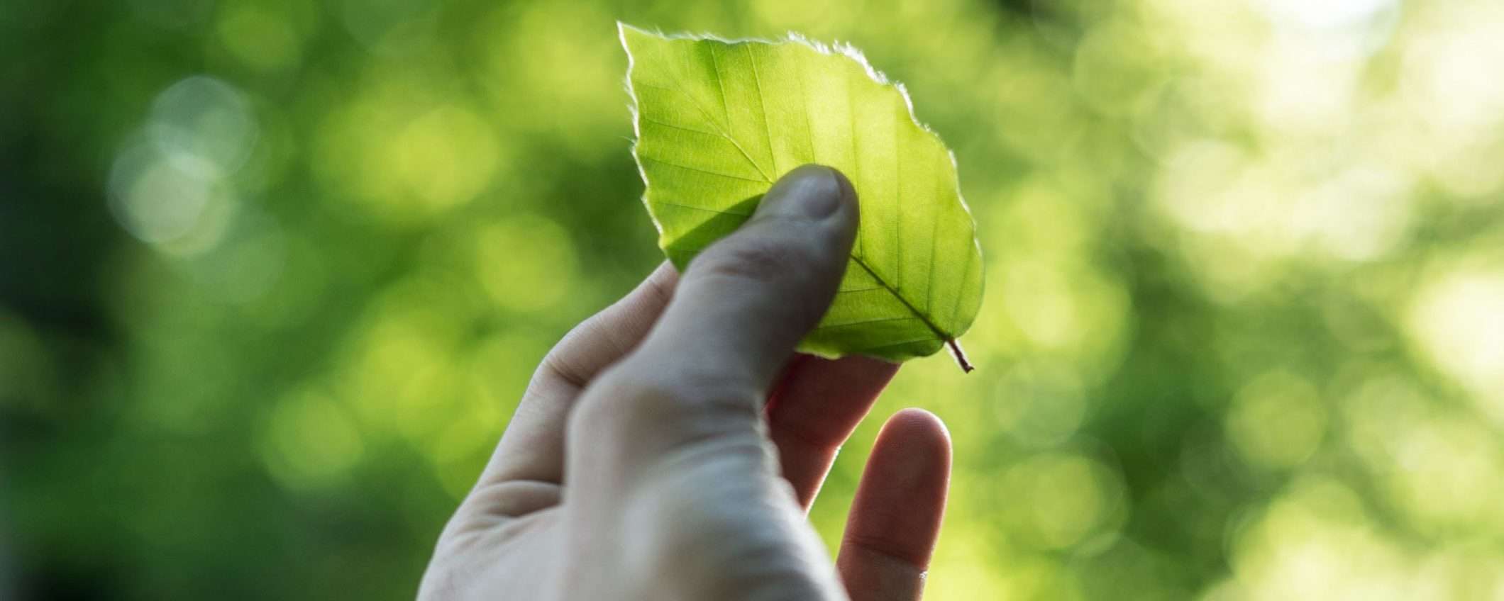 Google al lavoro per un futuro Carbon Free