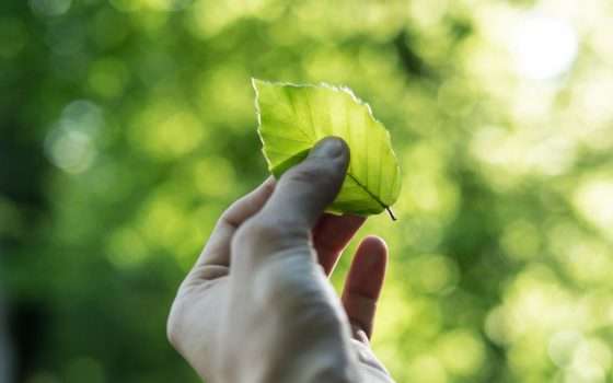 Google al lavoro per un futuro Carbon Free