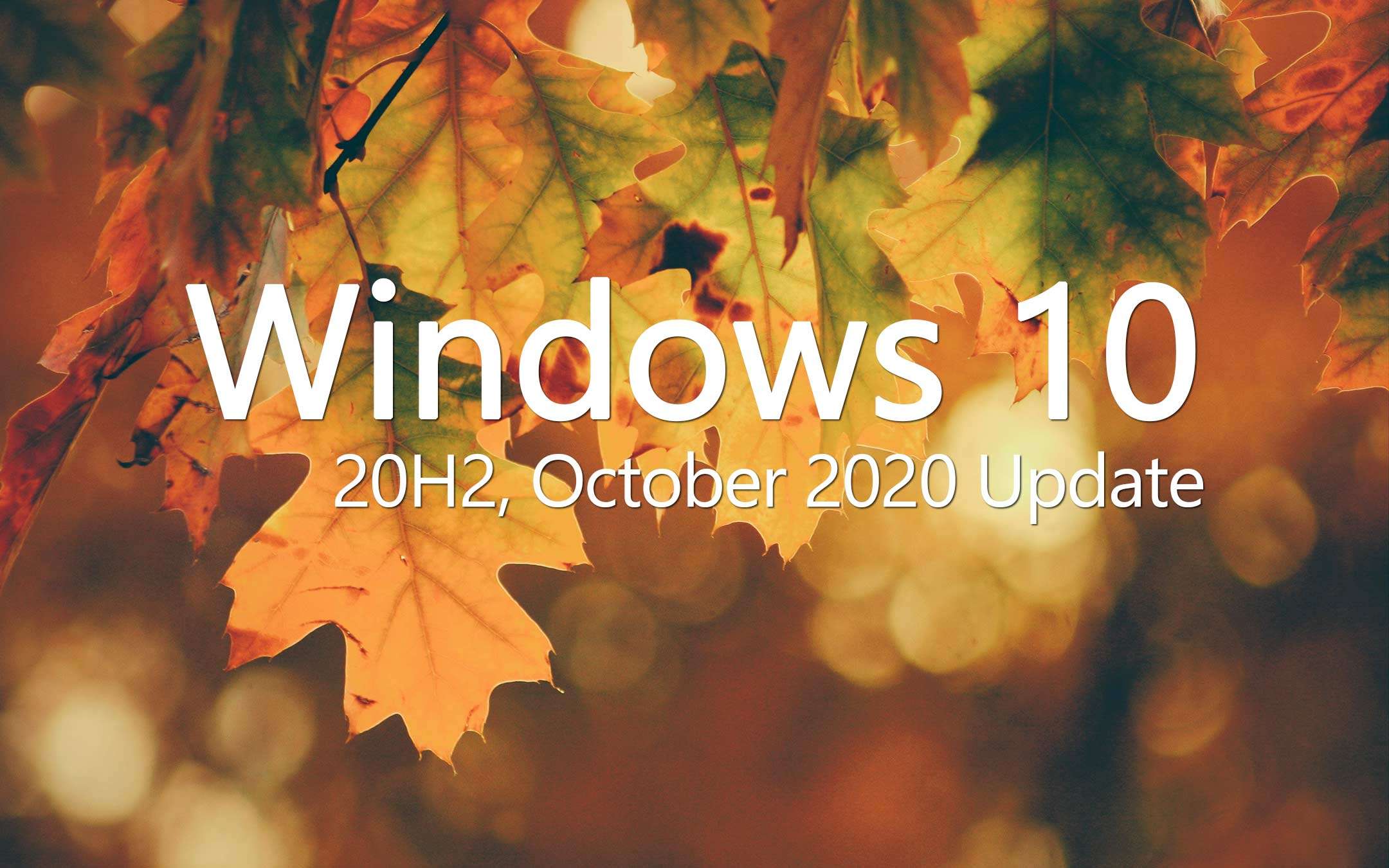 Windows 10: Less than 100 MB for the October 2020 Update