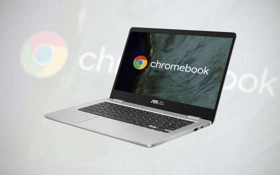 Didattica a Distanza: un Chromebook può bastare