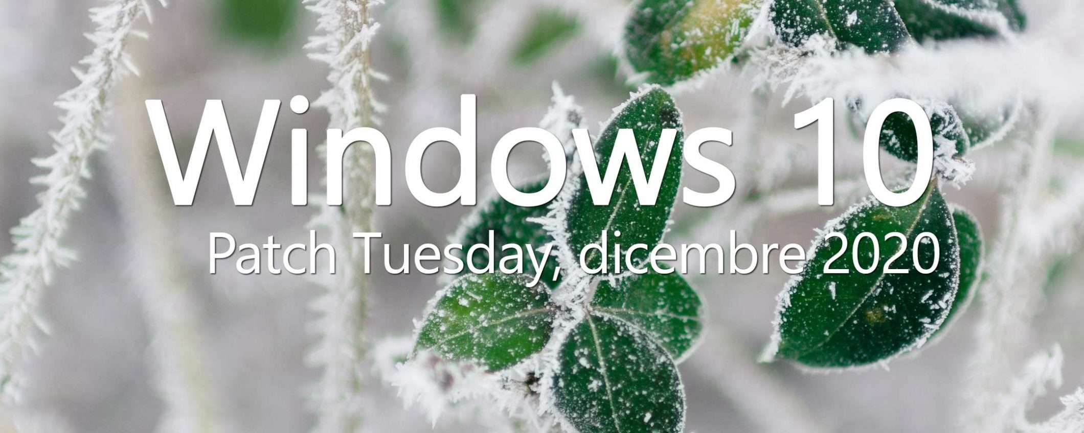 Windows 10: KB4592438, il Patch Tuesday di dicembre