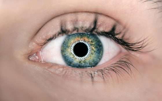 Torna a vedere grazie alla cornea artificiale