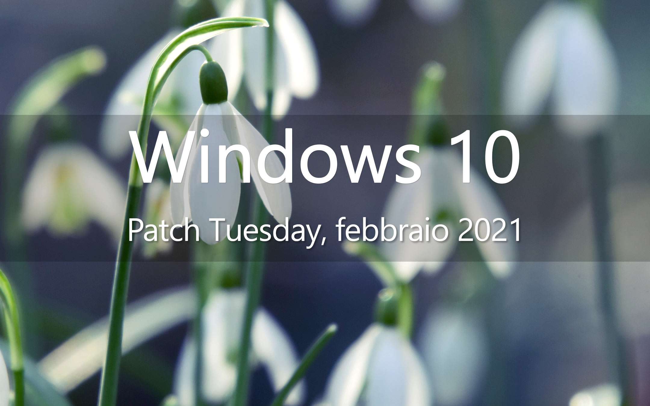 Windows 10 il Patch Tuesday di febbraio è in download