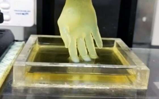 Stampa 3D e organi artificiali: un'idea da Buffalo