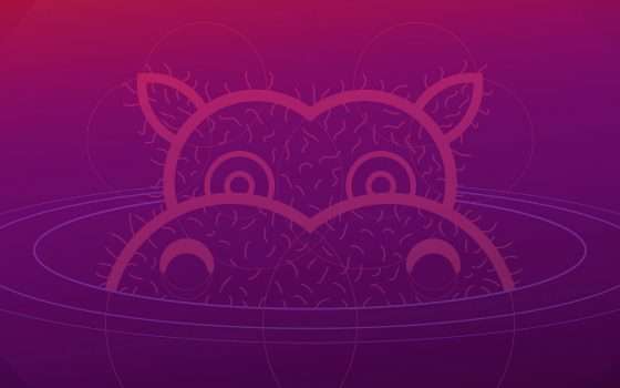 Ubuntu Hirsute Hippo, disponibile la beta