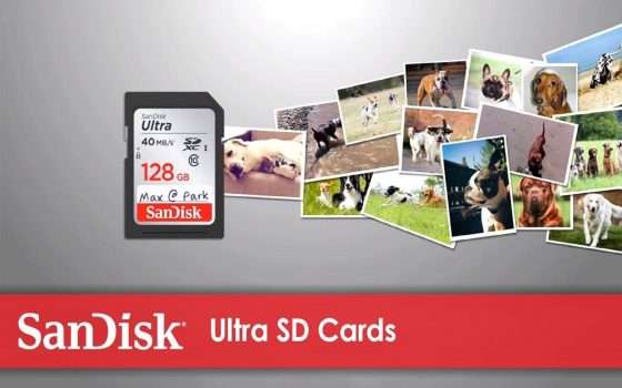 SanDisk Ultra SD da 128GB a soli 18€ su Amazon