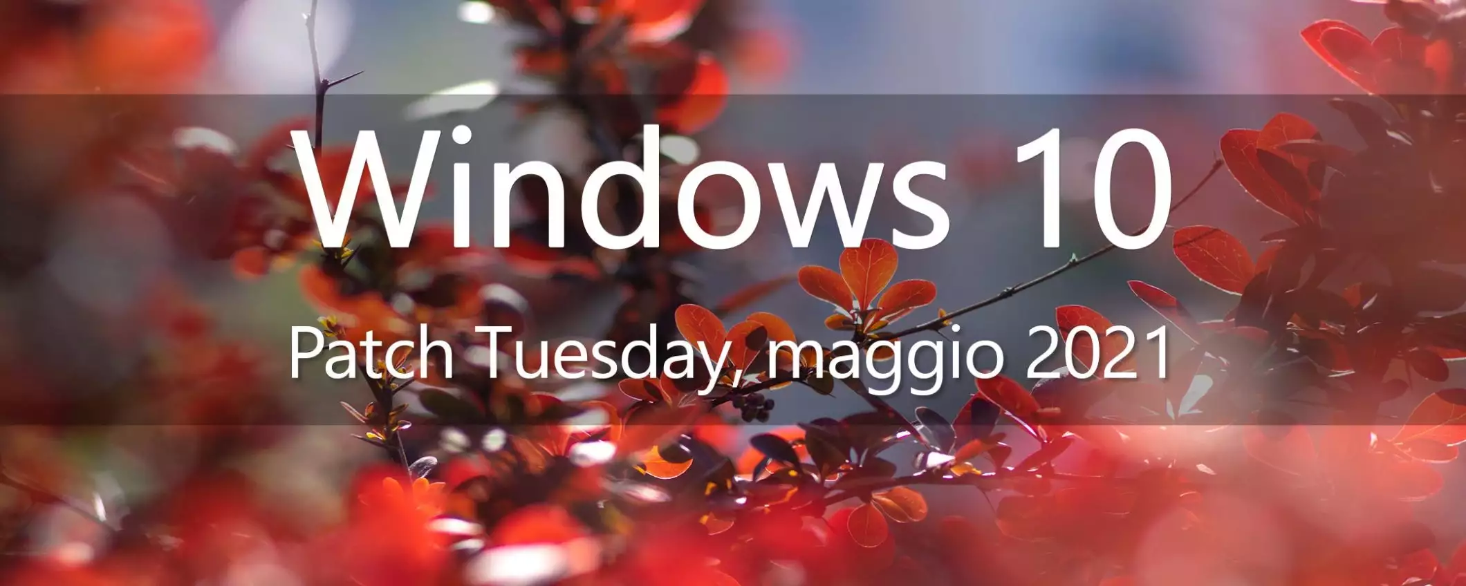 Windows 10: il Patch Tuesday di maggio in download