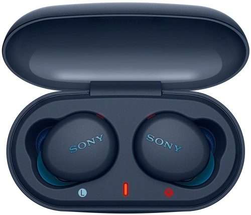 sony true wireless