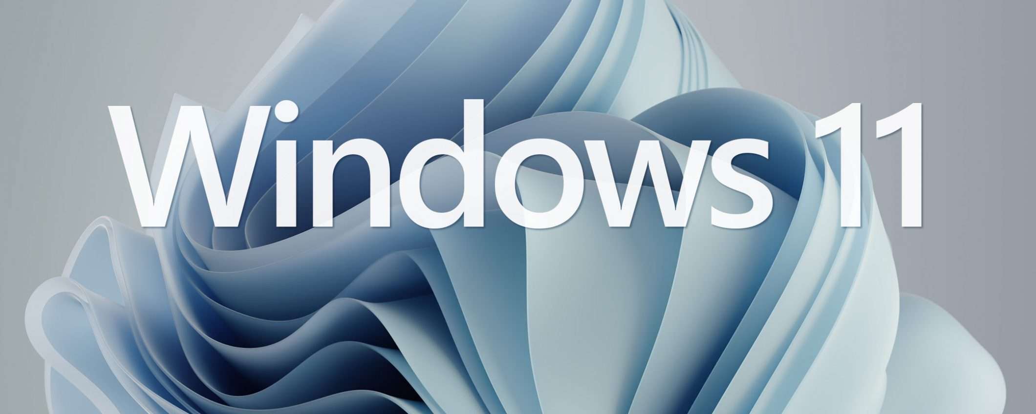 Windows 11: 65% degli utenti W7 pronto all'upgrade