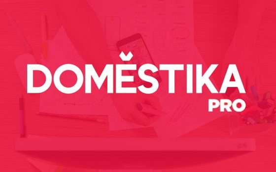 Domestika PRO in sconto a 25€ per un anno: ottima idea regalo