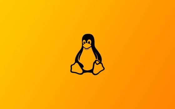 Linux al massimo storico: installato su 3% PC desktop nel mondo