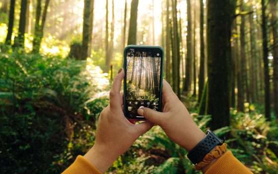 SnapSeed, la guida definitiva per foto da smartphone: sconto dell'85%