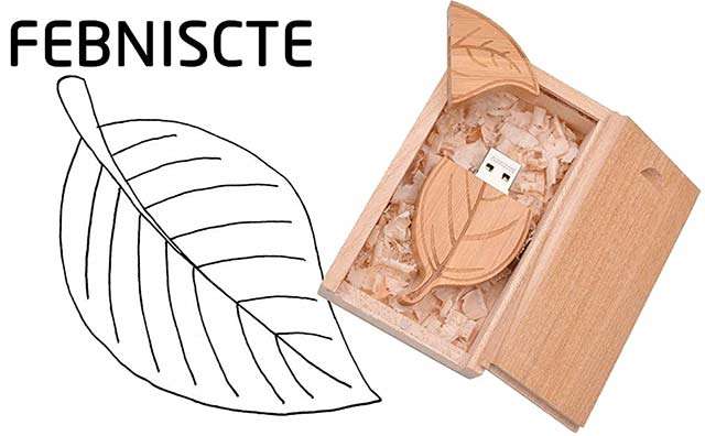 La pendrive USB in legno