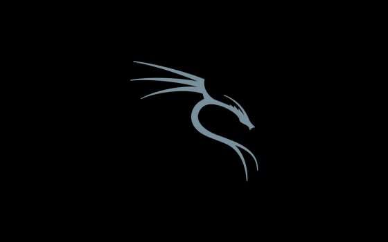 Ecco Kali Linux 2021.4: tra novità varie e migliorie