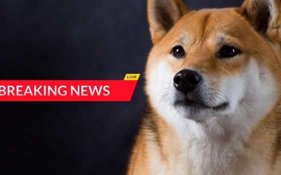 Shiba Inu inaugura il suo nuovo blog ufficiale