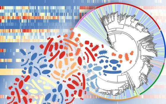 Mappati tutti i batteri e virus della pelle