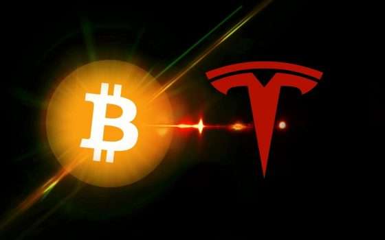 Che fine hanno fatto i Bitcoin di Tesla dopo il crollo delle crypto