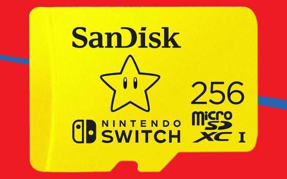 MicroSD 256GB perfetta per Switch: SCONTO SUPER -62%