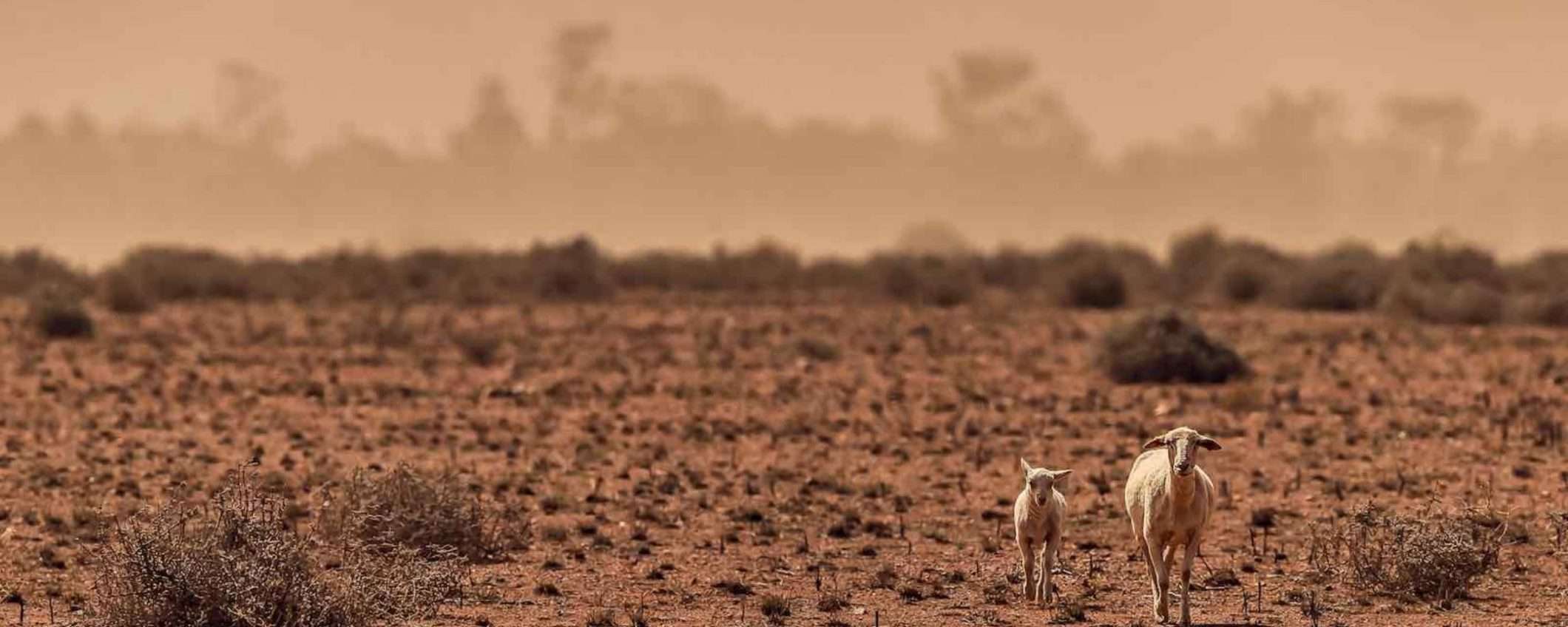 Australia a rischio per il cambiamento climatico