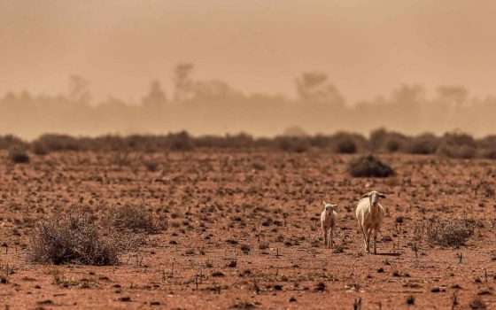 Australia a rischio per il cambiamento climatico