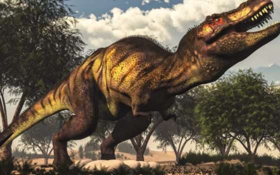 Il T-Rex presto potrebbe venire diviso in tre specie?