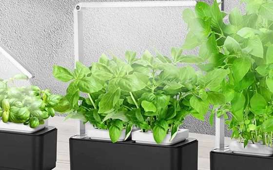 Orto urbano: questo smart garden è per te (SCONTO)