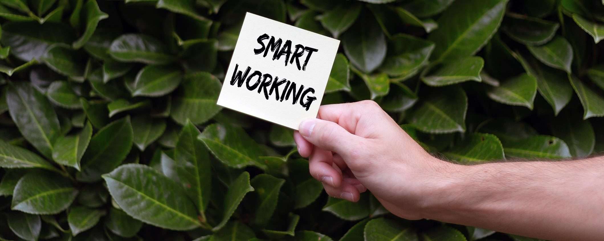 Smart working: rimarrà così anche dopo la pandemia