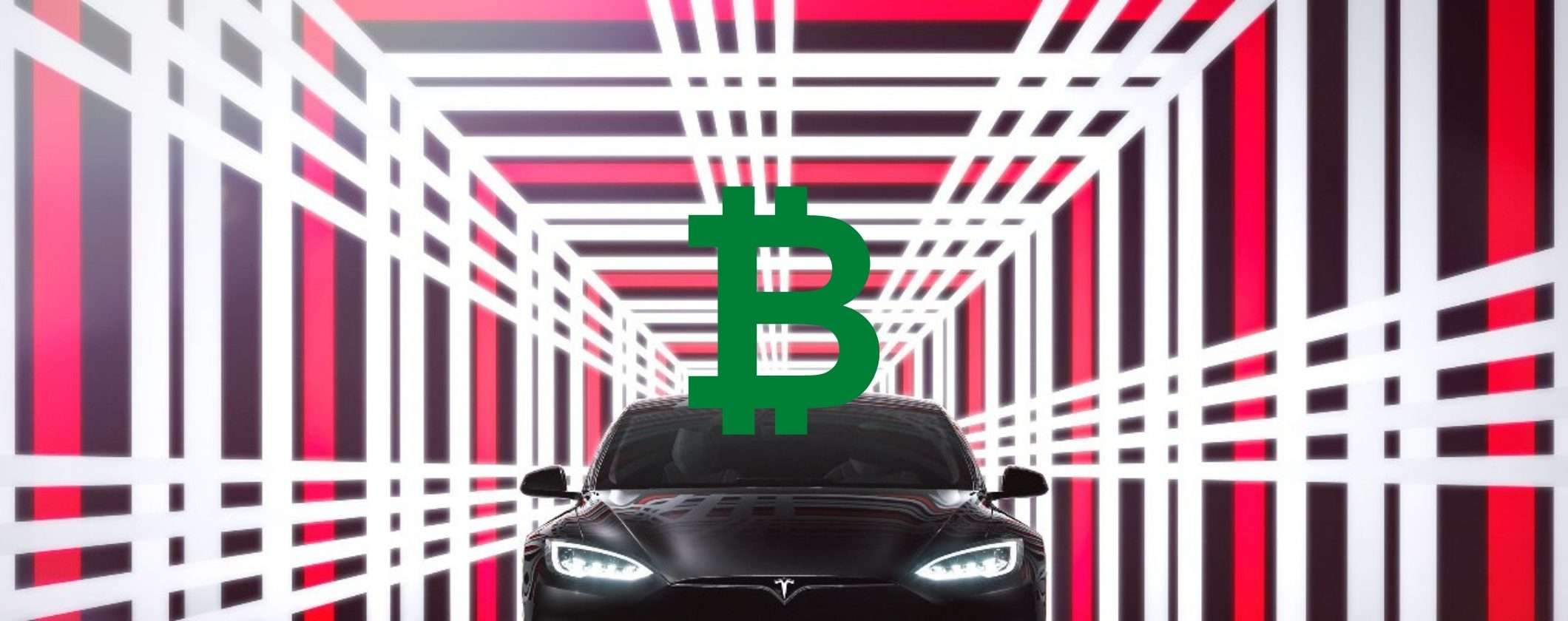 Tesla semaforo verde per le criptovalute: sboccia di nuovo l'amore