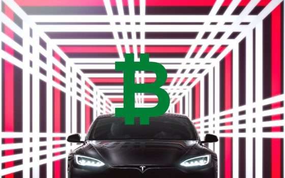 Tesla semaforo verde per le criptovalute: sboccia di nuovo l'amore