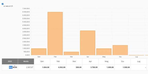 Invoice Buddy: grafici e interfaccia