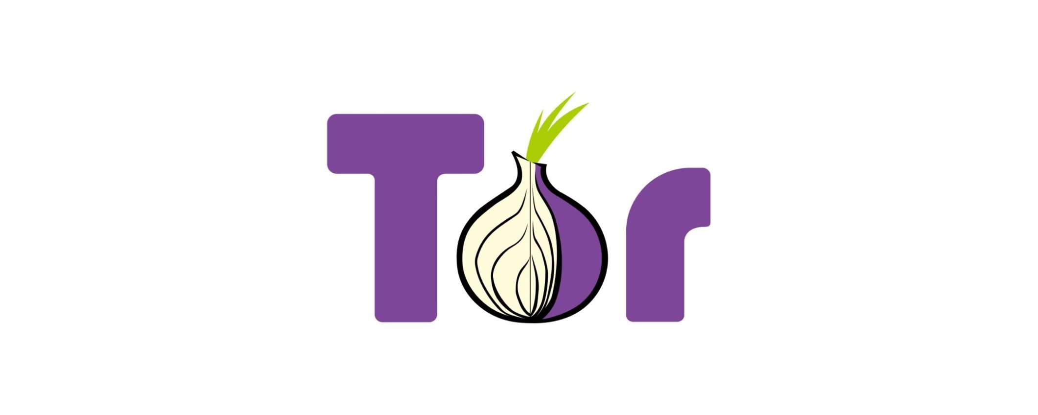 Perché è importante accedere a Tor usando una VPN?