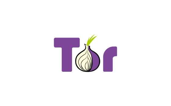 Perché è importante accedere a Tor usando una VPN?