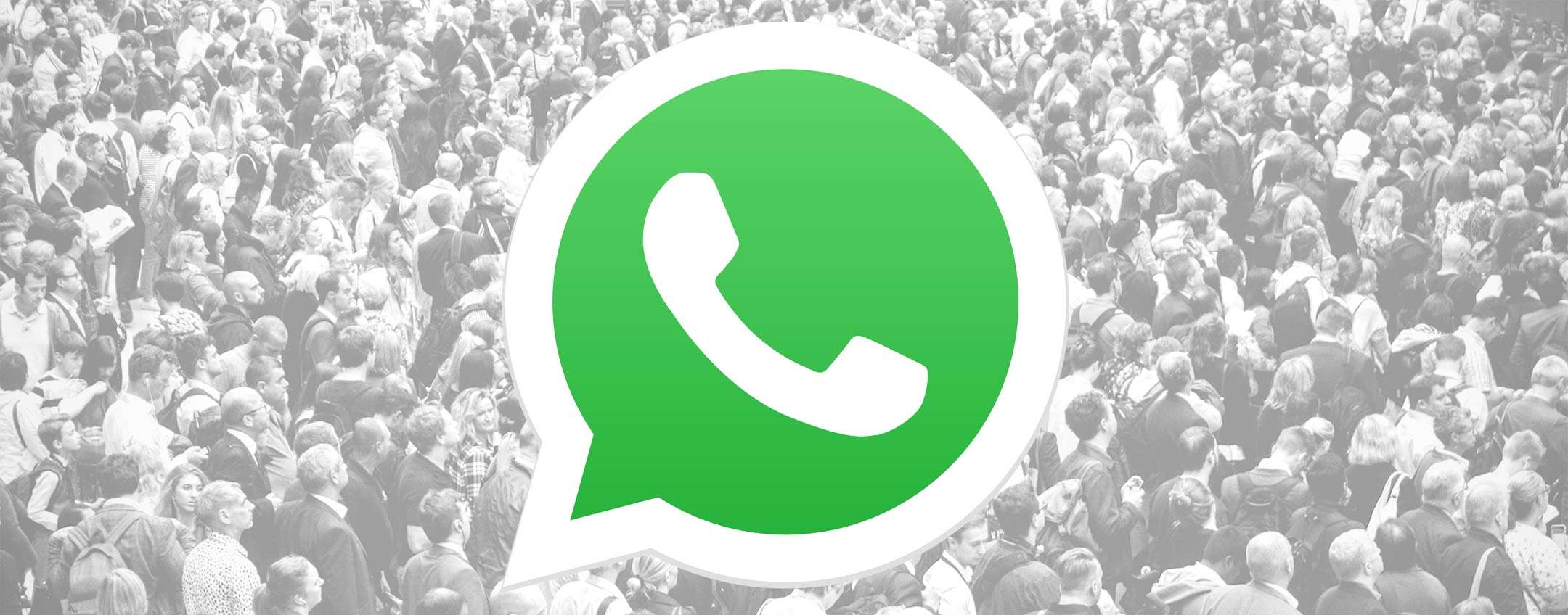 whatsapp whatsapp update